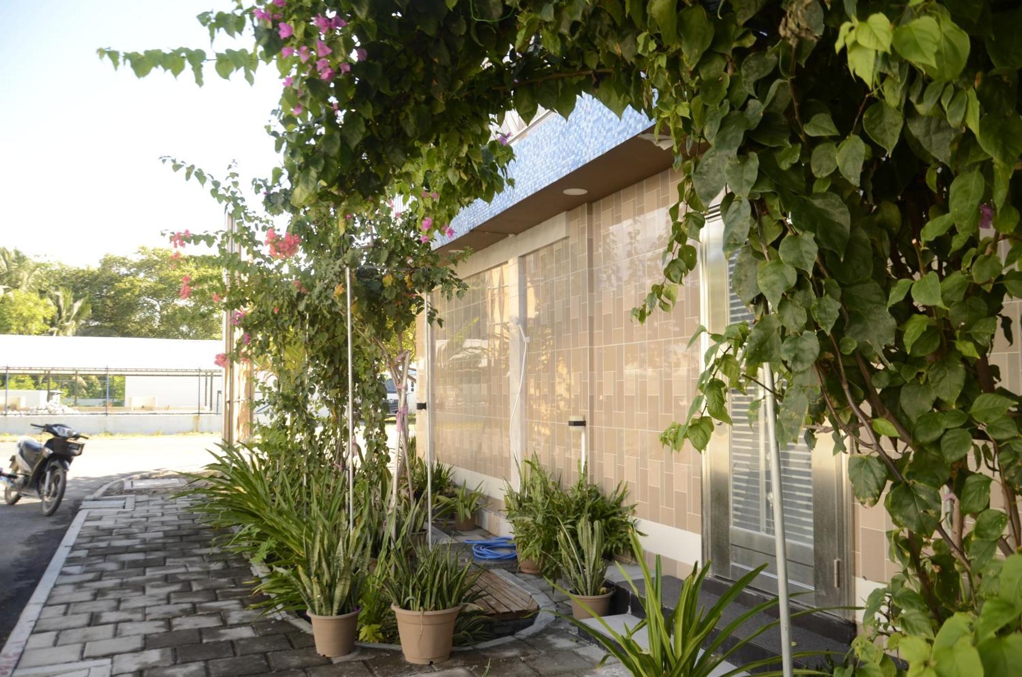 Isle Inn Guesthouse Fuvahmulah エクステリア 写真